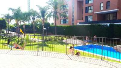 Apartment on Calle del Terrateig photo 9