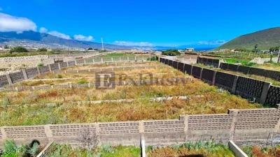 Rustic Finca on Carretera TF-617 photo 6
