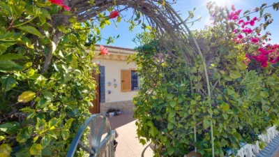 Casa – Torrevieja - Vista 5