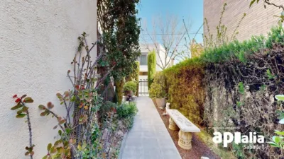 House in Estacio Can Esteper photo 39