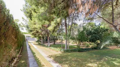 Chalet on Avinguda de Camp de Morvedre photo 75