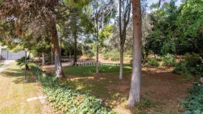 Chalet on Avinguda de Camp de Morvedre photo 77
