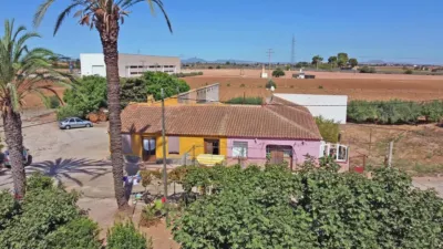 Rustic Finca in La Palma photo 2