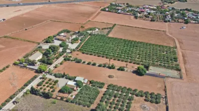 Rustic Finca in La Palma photo 3