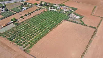 Rustic Finca in La Palma photo 5