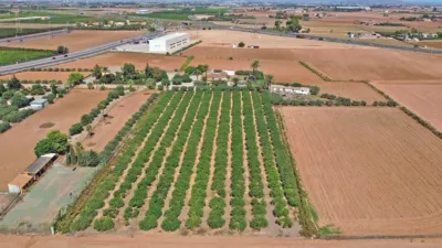 Rustic Finca in La Palma photo 6