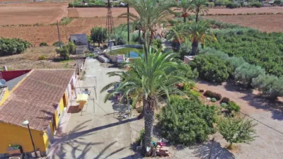 Rustic Finca in La Palma photo 7