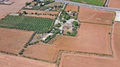 Rustic Finca in La Palma photo 8