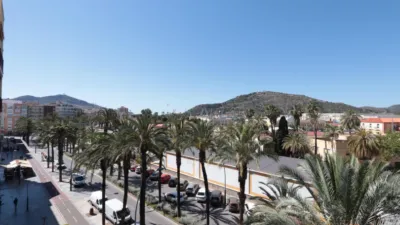Apartment on Calle Real photo 9