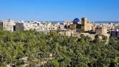 Pis – Elx / Elche, Hort de Ripoll, el Baix Vinalopó - Més