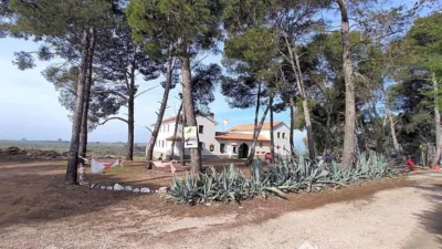 Chalet on Calle Capricho photo 17