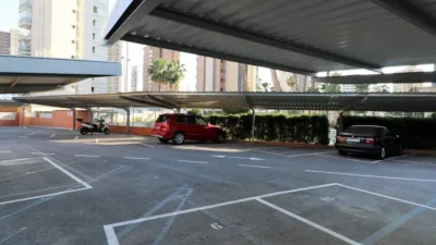 Apartment in Levante photo 5