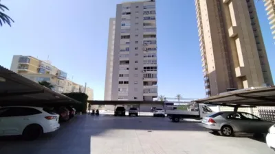 Apartment on the 1st Line photo 33