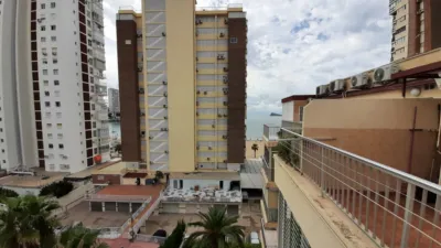 Apartment in Levante photo 23