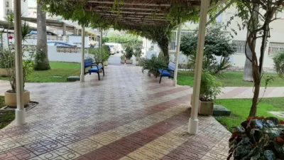 Apartment in Levante photo 62
