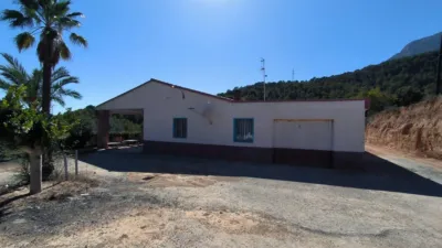 House in Partida La Tapia photo 2