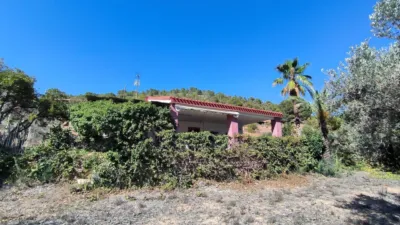 House in Partida La Tapia photo 30