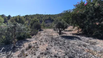 House in Partida La Tapia photo 32