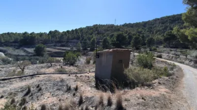 House in Partida La Tapia photo 34