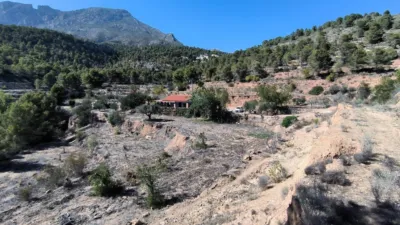 House in Partida La Tapia photo 36