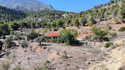 House in Partida La Tapia photo 37