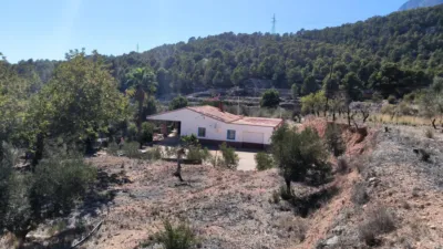House in Partida La Tapia photo 38