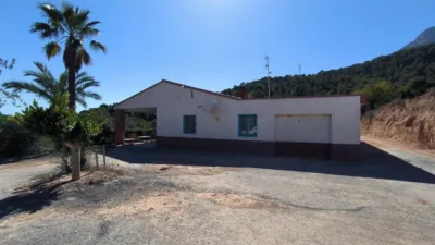House in Partida La Tapia photo 39