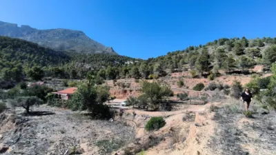 House in Partida La Tapia photo 4