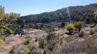 House in Partida La Tapia photo 5