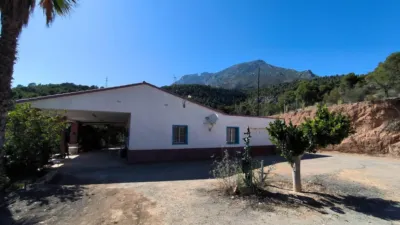 House in Partida La Tapia photo 7