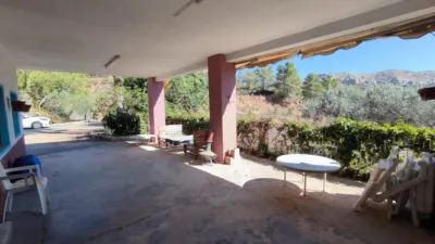 House in Partida La Tapia photo 8