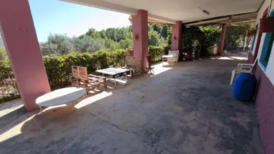 House in Partida La Tapia photo 9