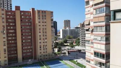 Apartment in Rincon de Loix Llano photo 22
