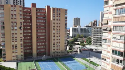 Apartment in Rincon de Loix Llano photo 2