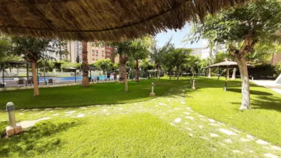 Apartment in Rincon de Loix Llano photo 30