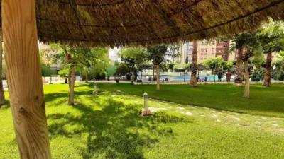 Apartment in Rincon de Loix Llano photo 31