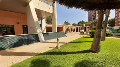 Apartment in Rincon de Loix Llano photo 33