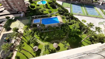 Apartment in Rincon de Loix Llano photo 8