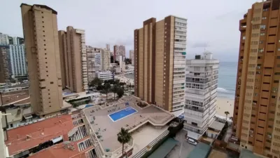 Penthouse on Avenida del Mediterraneo photo 3