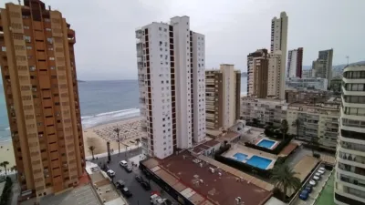 Penthouse on Avenida del Mediterraneo photo 4
