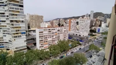 Penthouse on Avenida del Mediterraneo photo 51