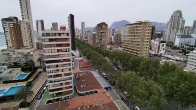 Penthouse on Avenida del Mediterraneo photo 53