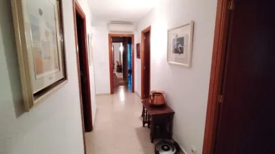 Apartment in Levante photo 15