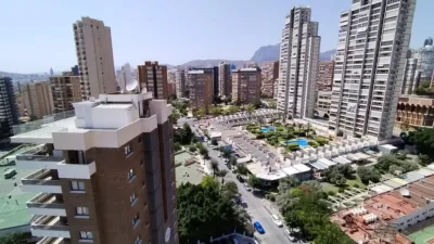 Pis – Benidorm - Vista 3