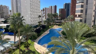 Apartment in Rincón de Loix Llano photo 20