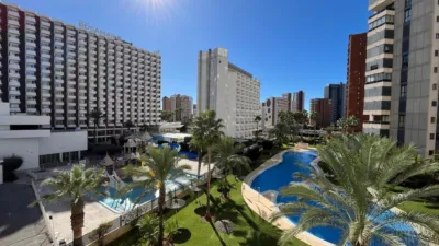 Apartment in Rincón de Loix Llano photo 2