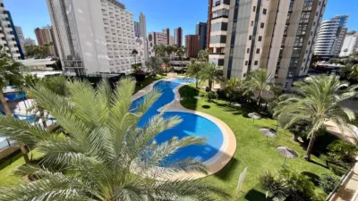 Apartment in Rincón de Loix Llano photo 7