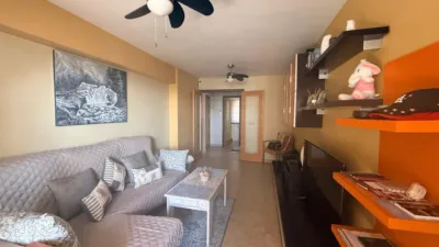 Apartment in Playa de Levante photo 7