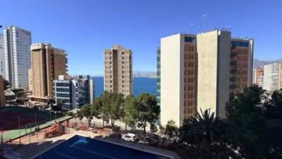 Apartment in Rincon de Loix Cruz photo 28