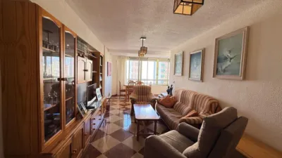 Apartment in Rincon de Loix Cruz photo 7